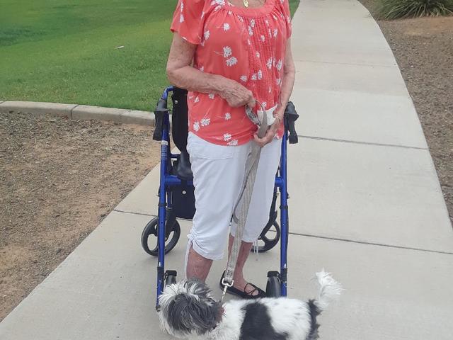 A PARENT'S PARADISE AND CARE LLC